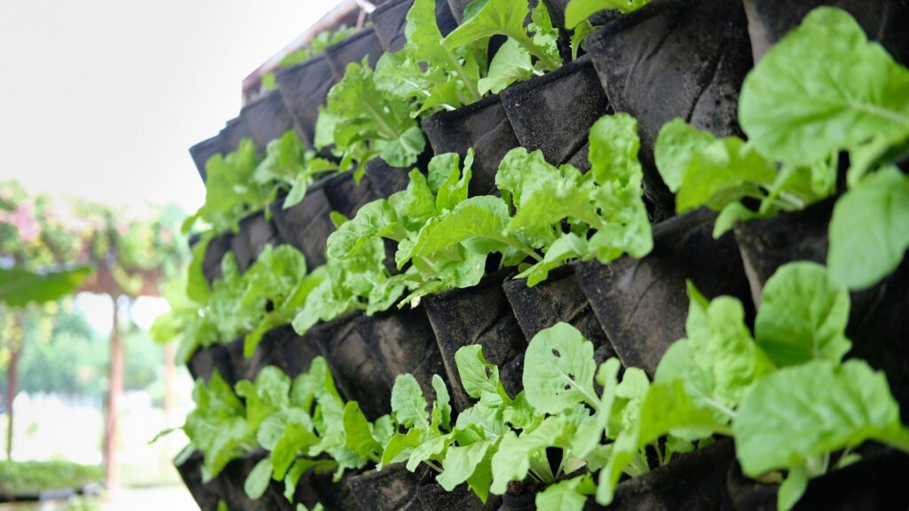 Jardín vertical con bolsillos