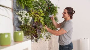 Mantenimiento de jardines verticales: Consejos y trucos